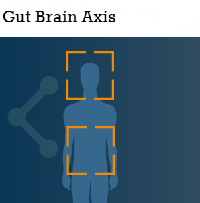 Gut Brain Axis