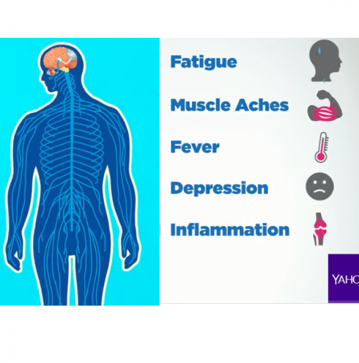 Yahoo Lifestyle, Autoimmune Disease, Diet